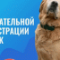 Управление ветеринарии РС (Я) напоминает об обязательной регистрации домашних животных - Хангаласский улус